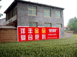 唐河如何让墙体广告展现最大化效果