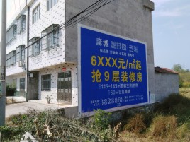 唐河墙体广告质量分析