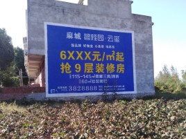 唐河品牌公司青睐的墙体广告