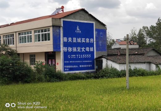 唐河决定墙体广告价格的因素有哪些?