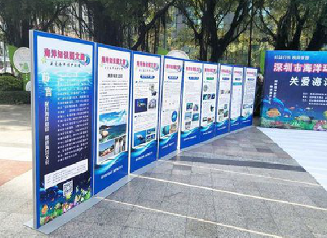 唐河KT板的种类和知识。